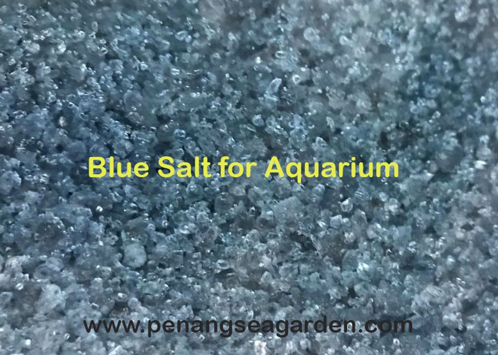 Blue Salt for Aquarium 消毒盐 1kg RM2 20190808-2w.jpg