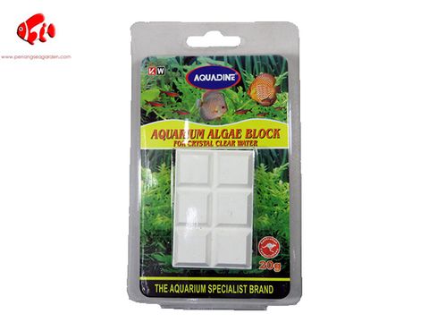 AQUADINE AQUARIUM ALGAE BLOCK 20G.jpg