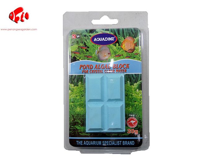 AQUADINE POND ALGAE BLOCK 20G.jpg