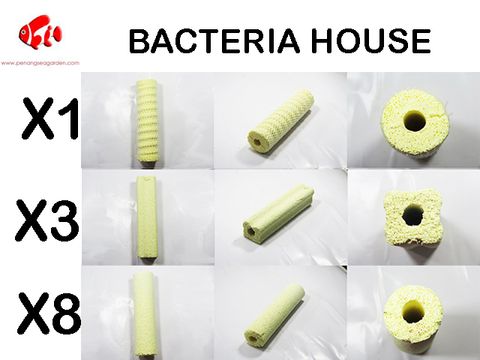 BACTERIA HOUSE-1.jpg