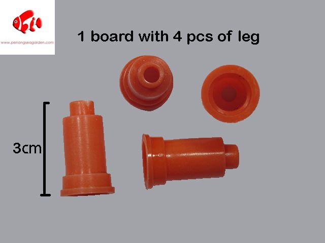 Aquarium Bottom Isolation Board-2.jpg