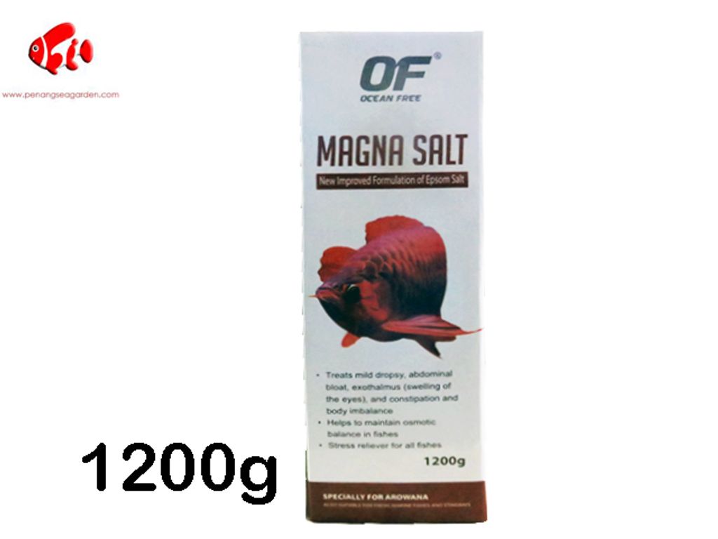 MAGNA SALT 1200G.jpg