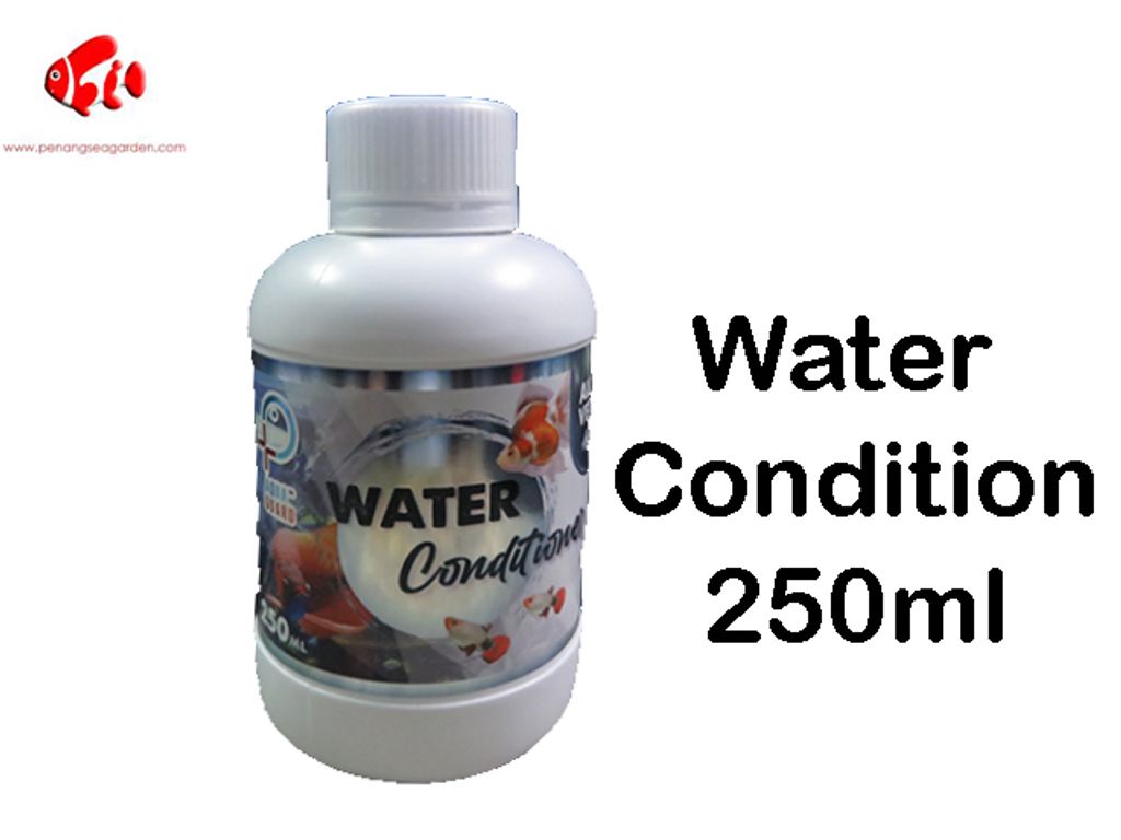 Water Condition 250ml.jpg