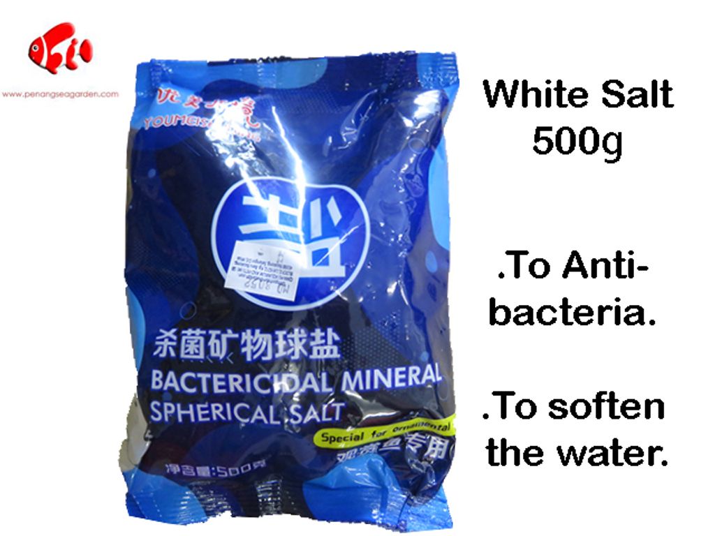 White Salt 500g.jpg