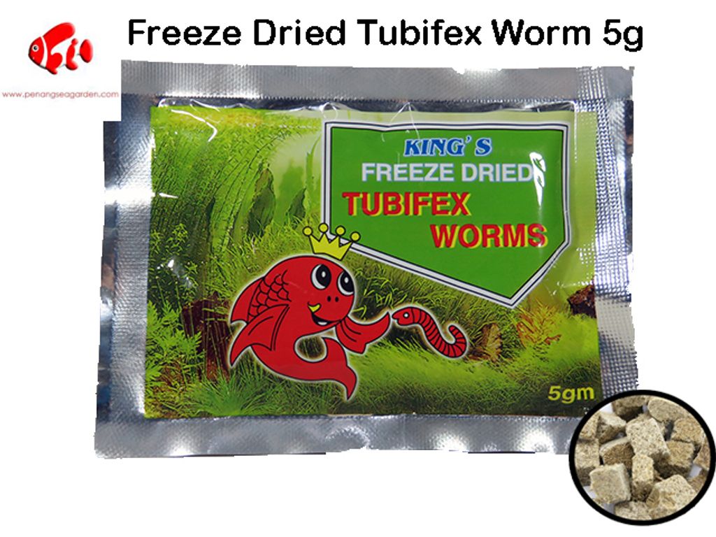 King's Freeze Dried Tubifex Worm 5g.jpg