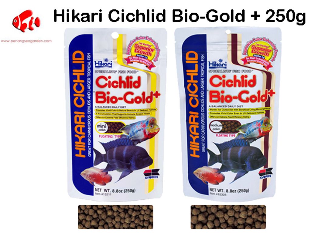 Hikari Cichlid Bio-Gold 250g.jpg