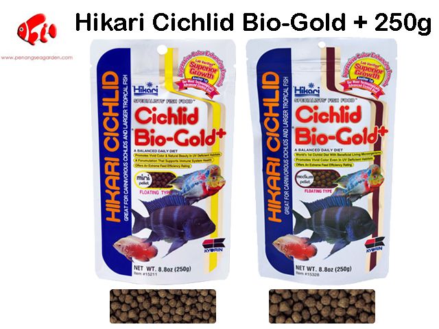 Hikari Cichlid Bio-Gold 250g.jpg