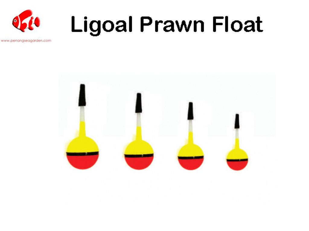 Ligoal Prawn Float.jpg
