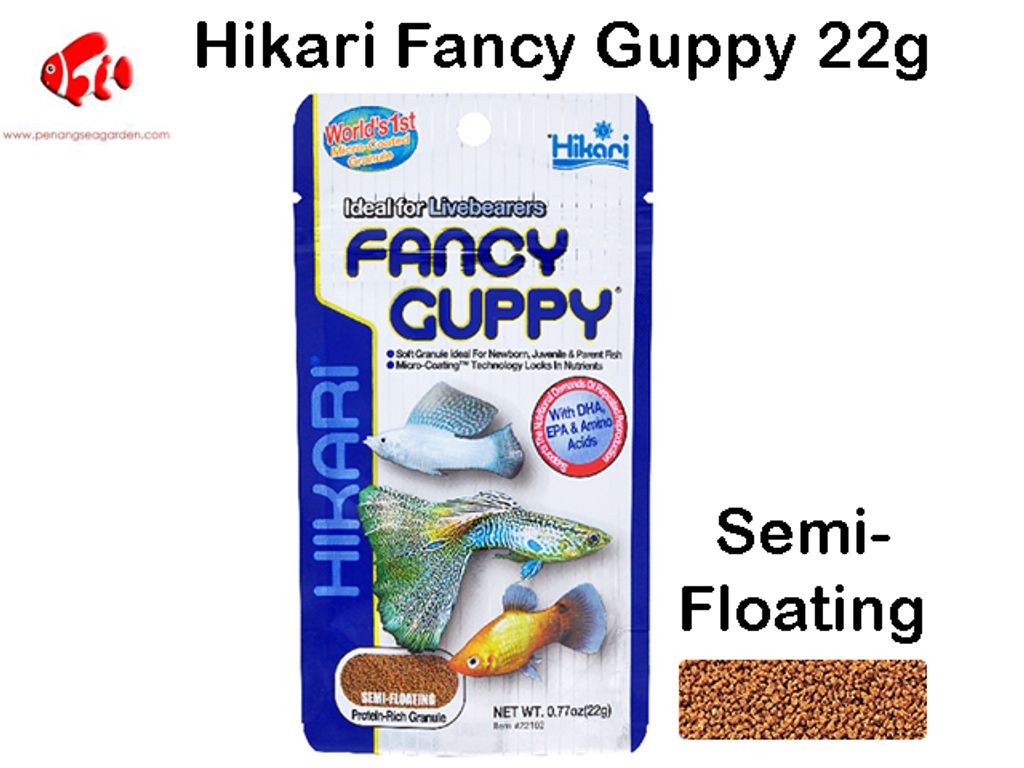 Hikari Fancy Guppy 22g.jpg