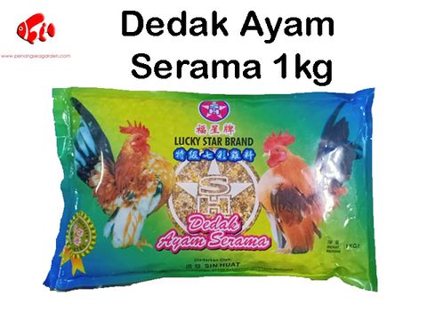 Dedak Ayam Serama 1kg.jpg