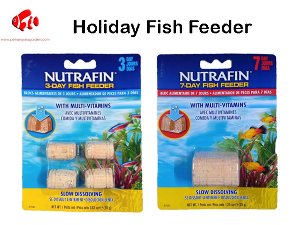 Holiday Nutrafin Fish Feeder.jpg