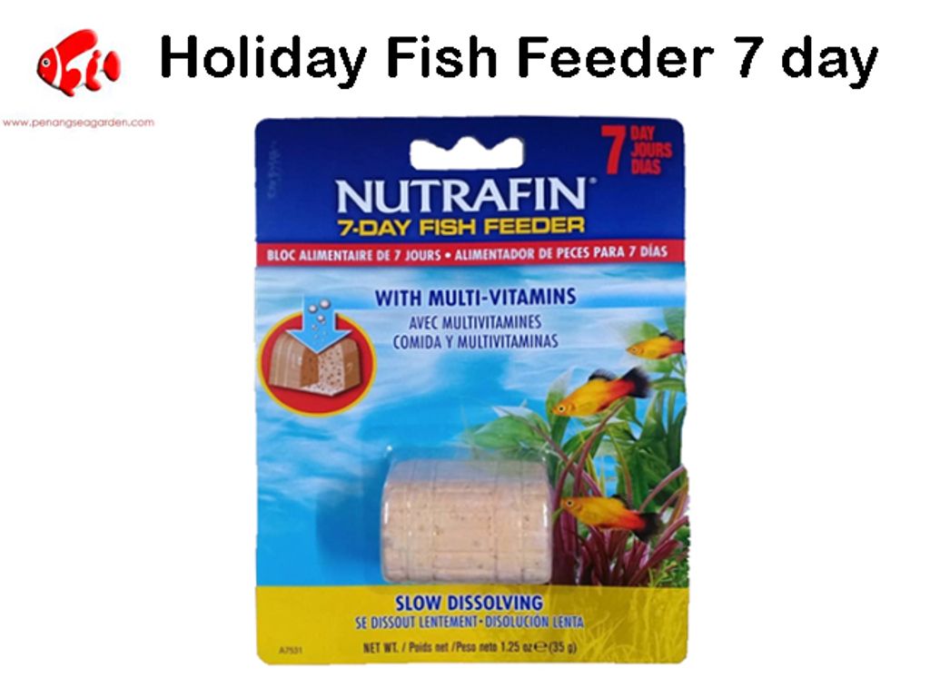 Holiday Fish Feeder 7 day.jpg