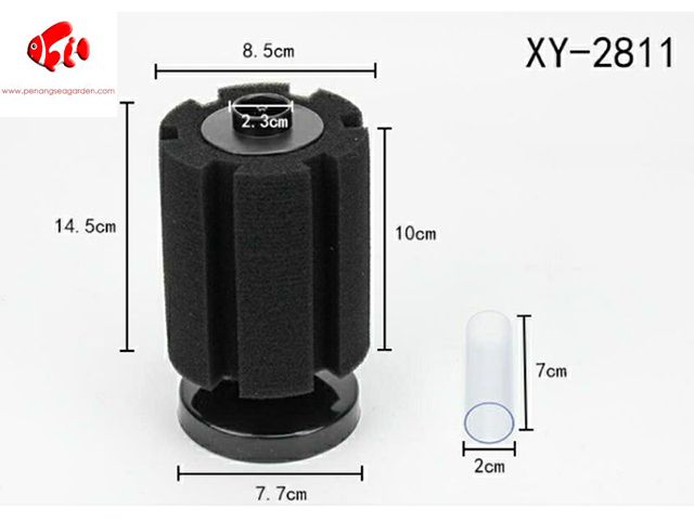 XY2811-1.jpg
