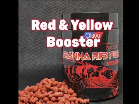 channa red 100g.jpg