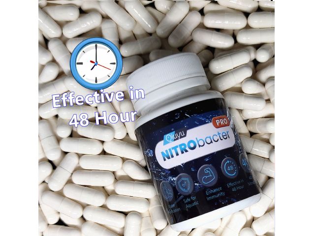 nitrobacter.jpg