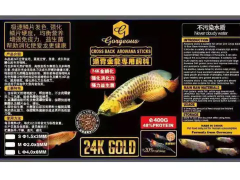 Untitled design (35).png