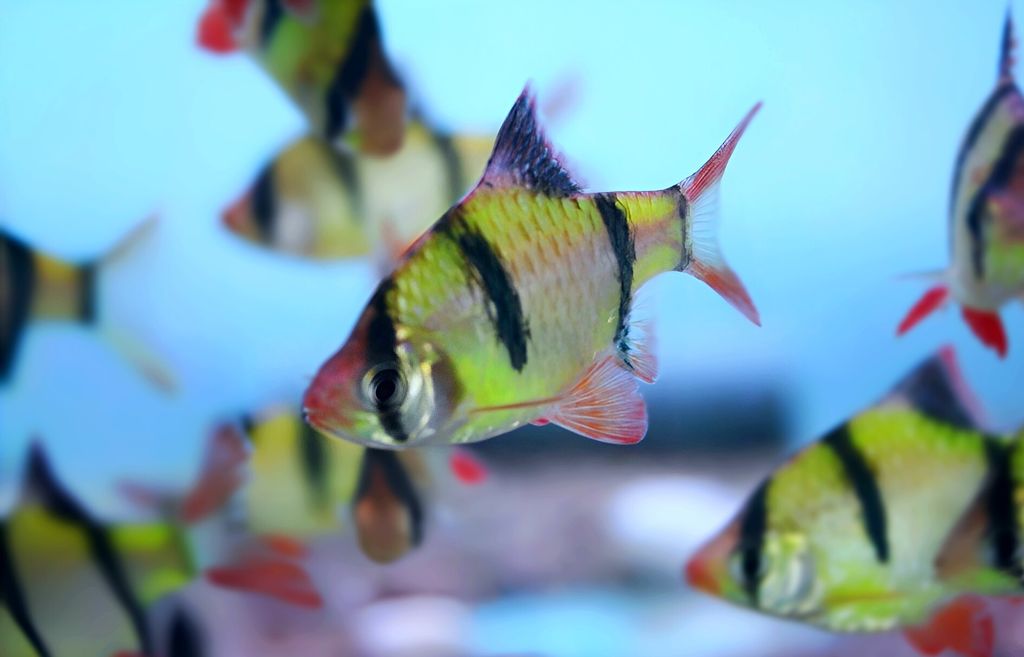 9bb9d775-1cdd-4729-a940-42386a79da07