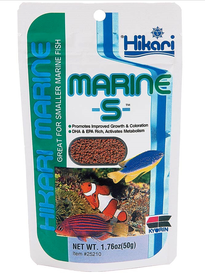 Marine S.jpg