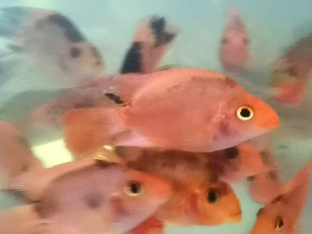 IMG_20231004_130656_edit_7432519445219