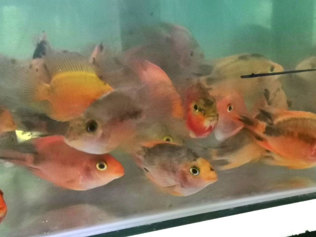 IMG_20231004_130807_edit_7582103601447