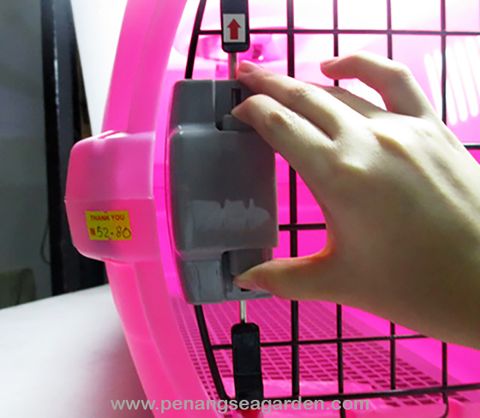 Pet Carrier Pink - 02A.jpg