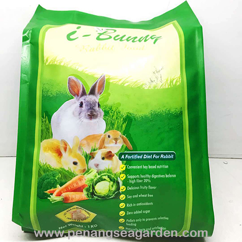 bunny rabbit food