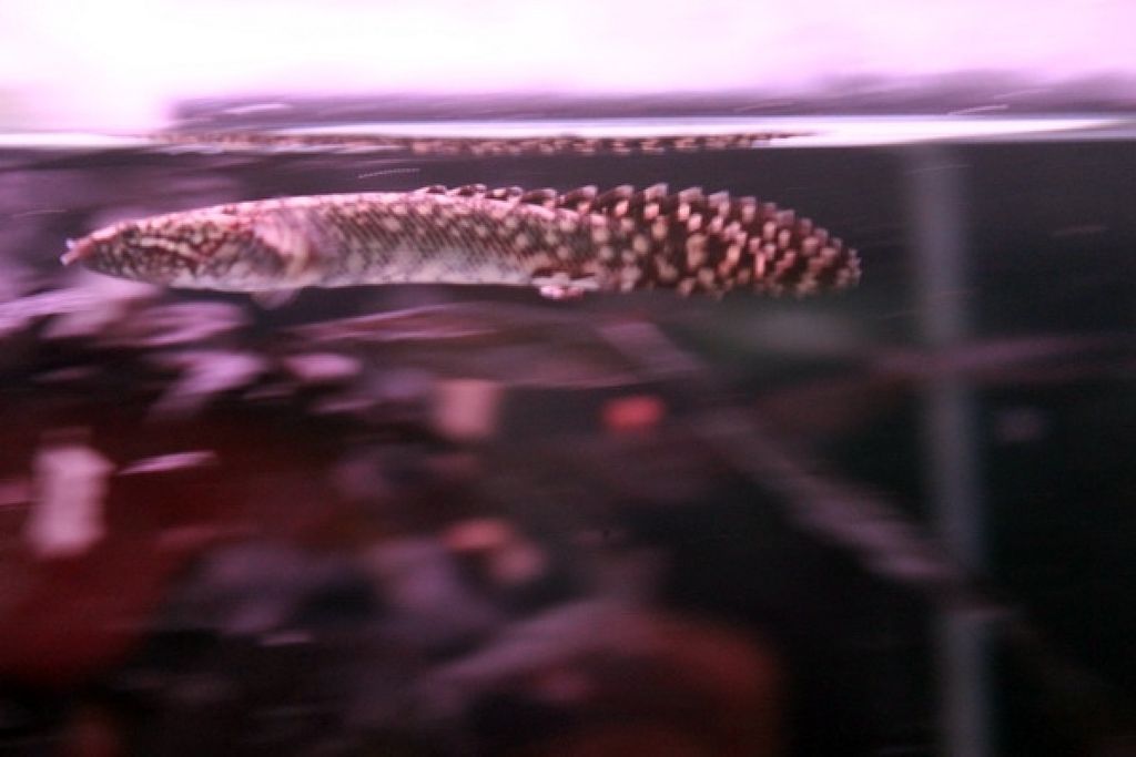 1487207915_1125649_z