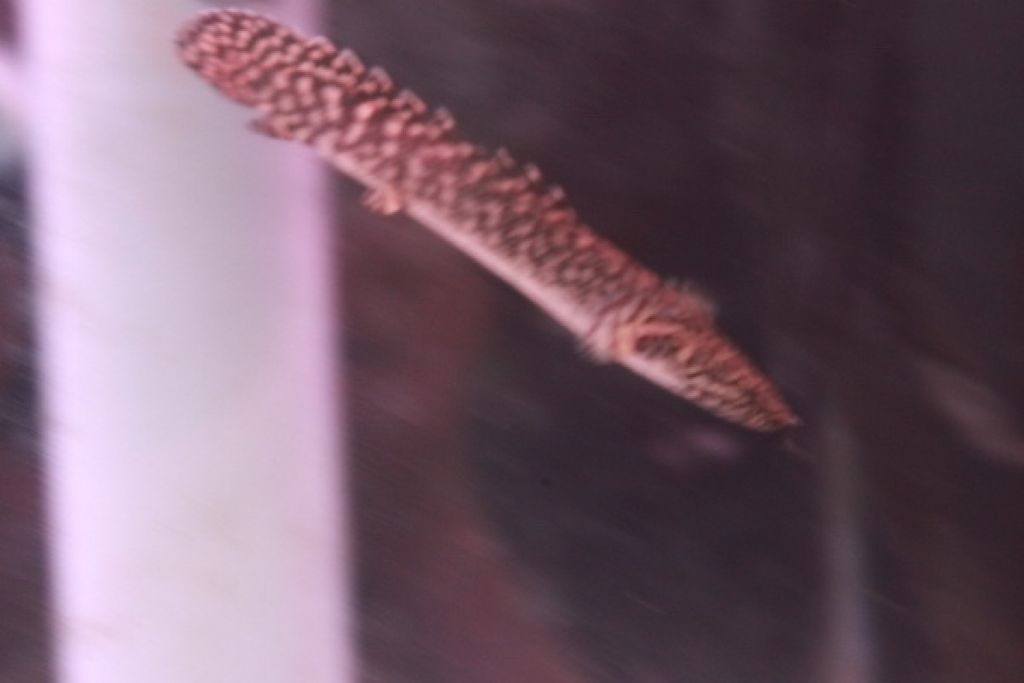 1487207915_1125650_z