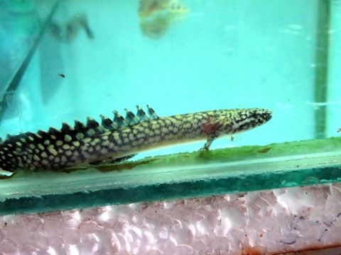 1487207915_2801168_z