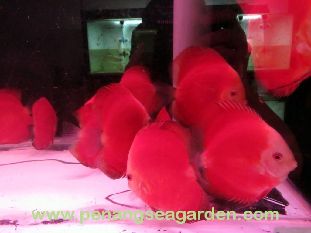 1487208324_2146701_z