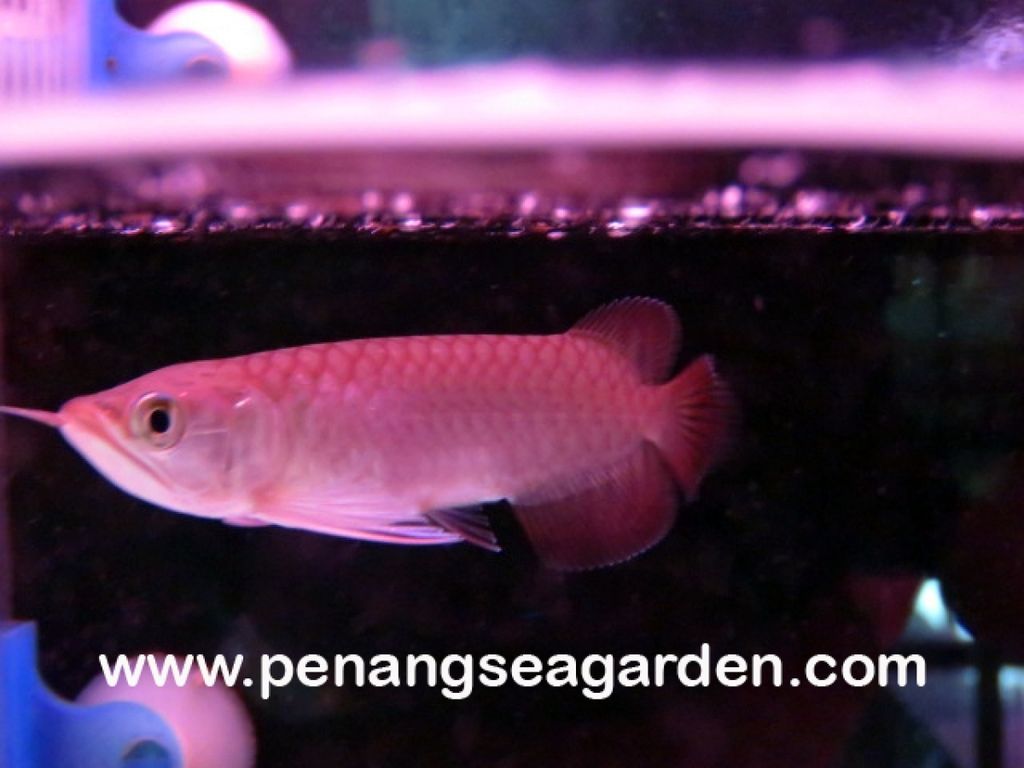 1487208327_2374737_z