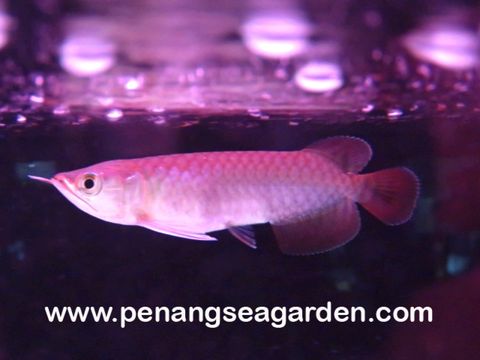 1487208327_2374738_z