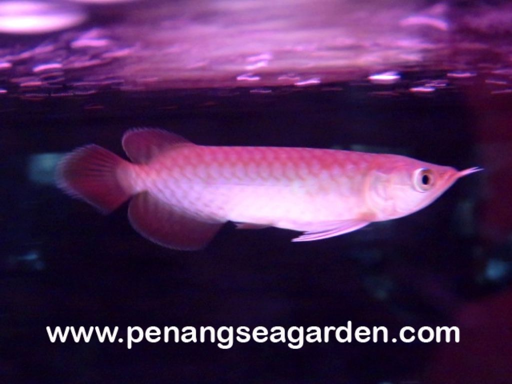 1487208327_2374739_z