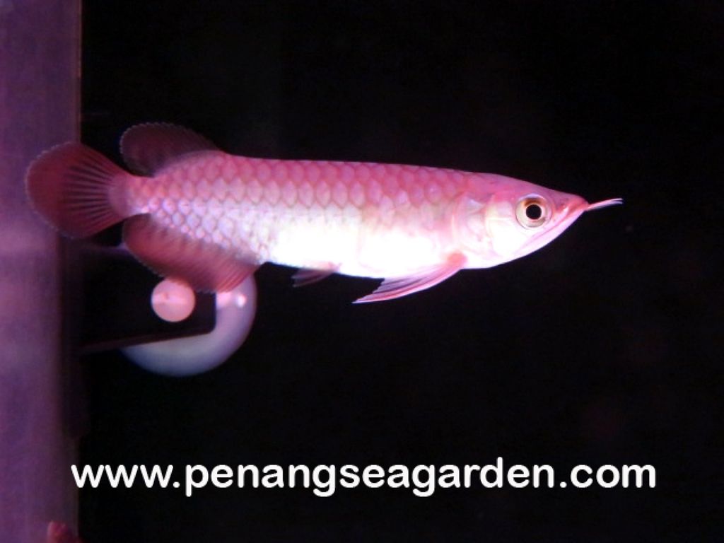 1487208327_2374740_z