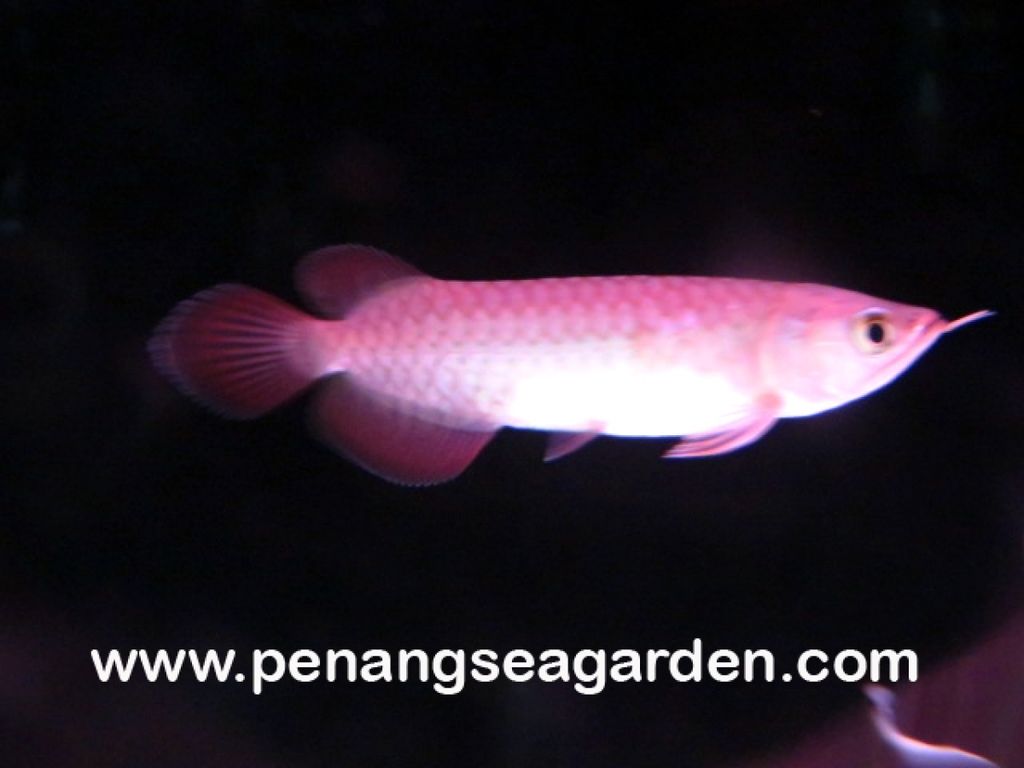 1487208327_2374741_z