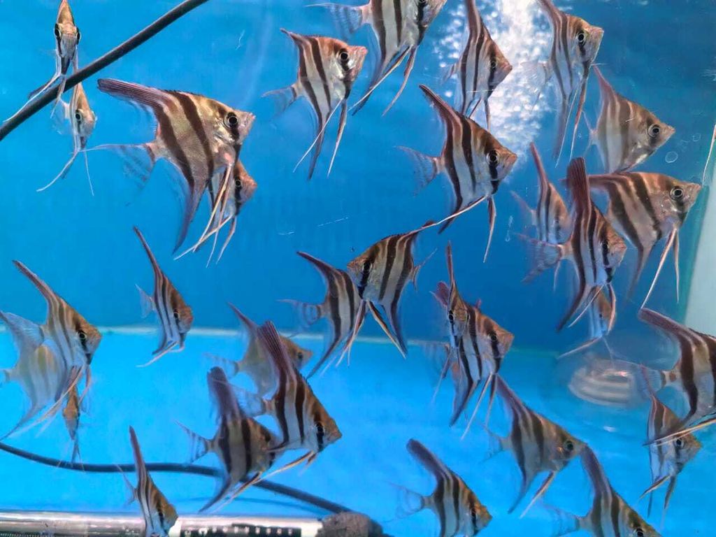 WhatsApp Image 2026-02-12 at 10.29.42 AM