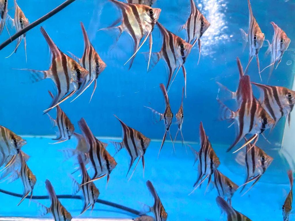 WhatsApp Image 2026-02-12 at 10.29.42 AM (1)