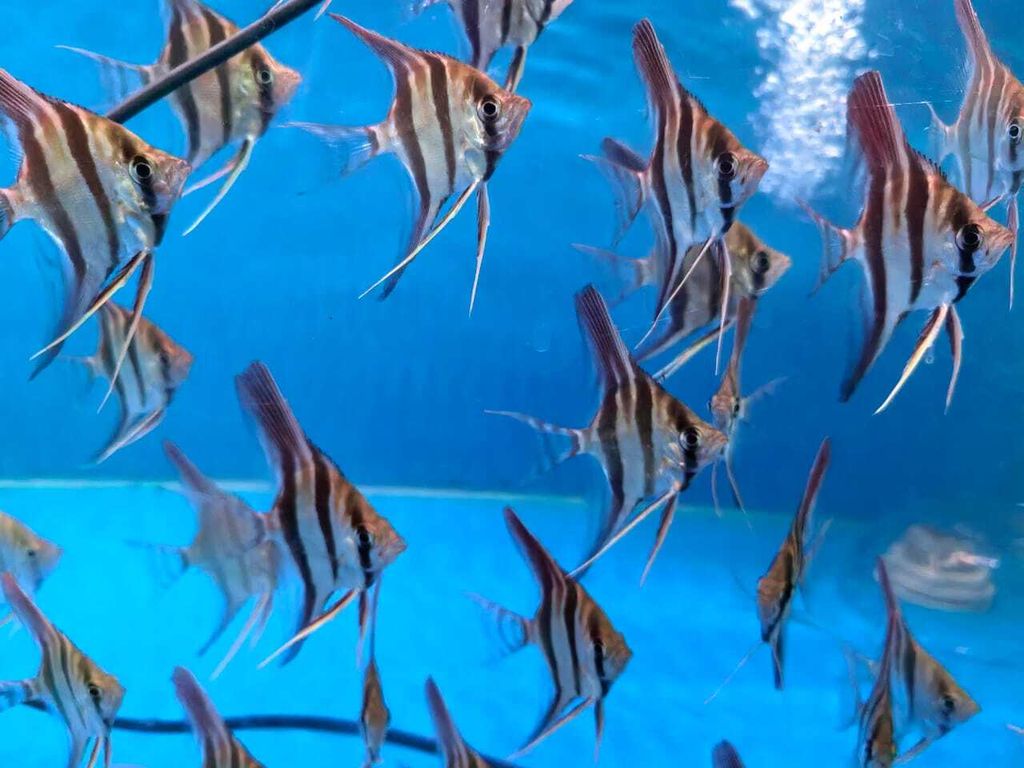 WhatsApp Image 2026-02-12 at 10.29.43 AM