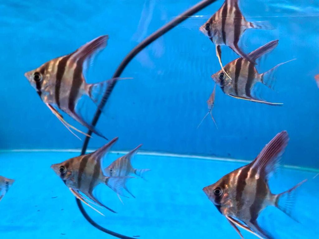 WhatsApp Image 2026-02-12 at 10.29.43 AM (2)