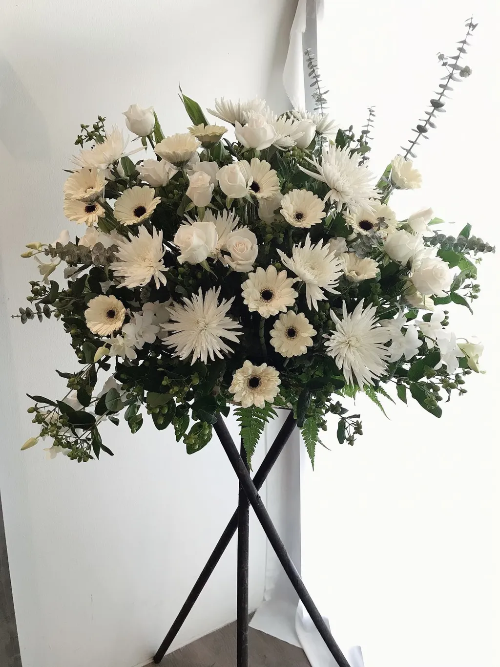 EEE3CFFD-FA65-4D91-92C1-37EF891F2FD3.jpg