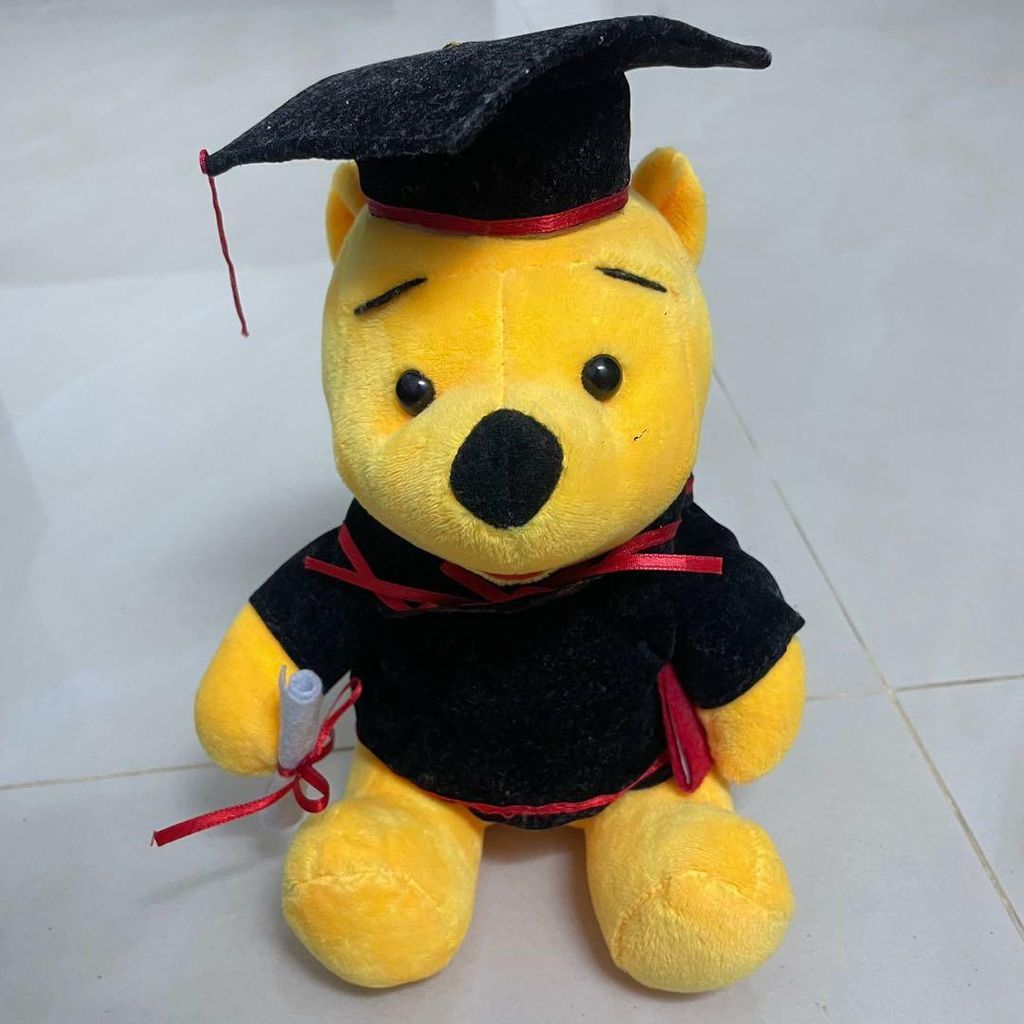 bear_soft_toy_pooh_bear_cute_g_1638880079_789b05e9_progressive