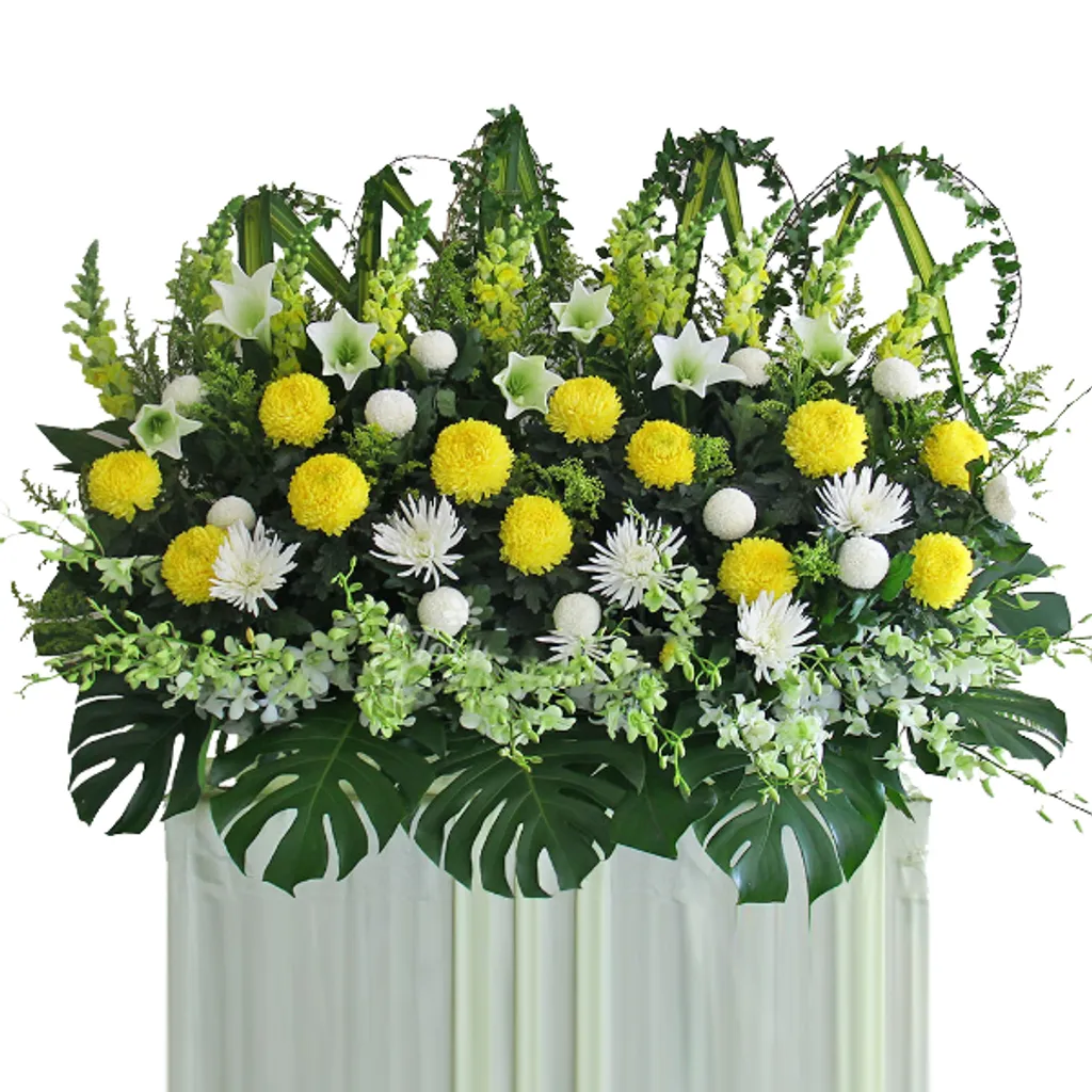 C60603B0-C20C-4F0E-B5C7-9FD5F00DC92A.png