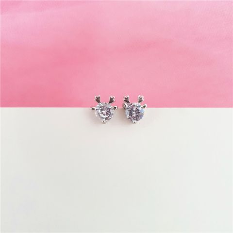 CY-00177 (8).jpg