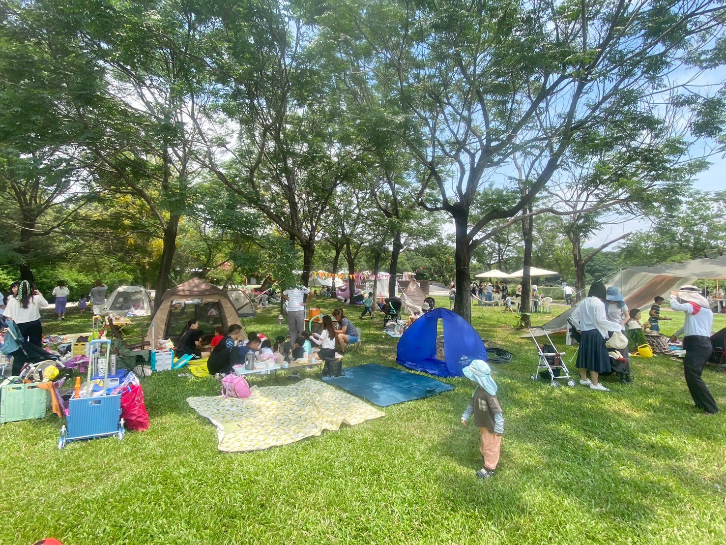 LINE_ALBUM_屏東六堆野餐日-六堆客家文化園區_240523_26