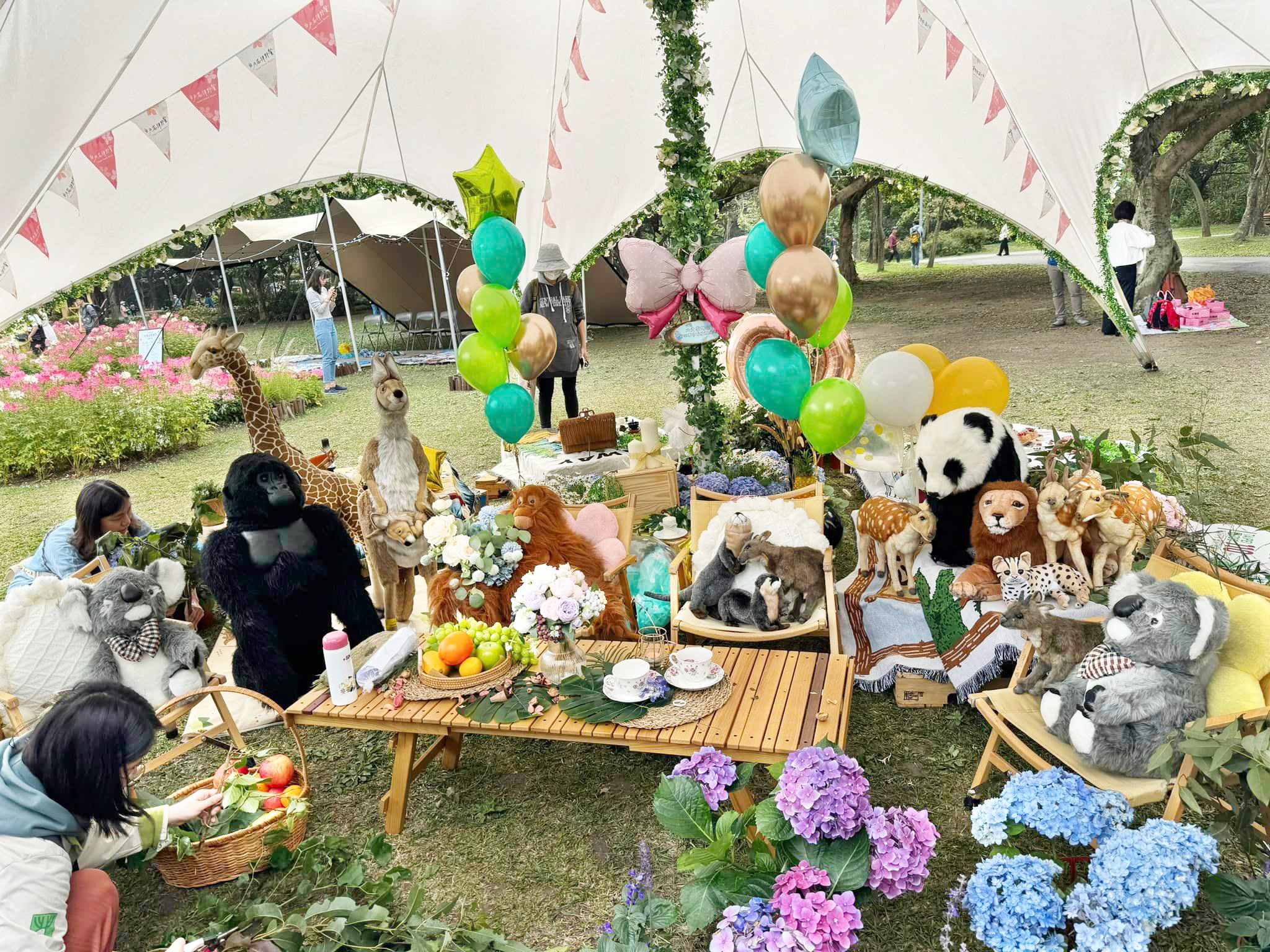 432412565_6896744737098434_8136211112082206658_n