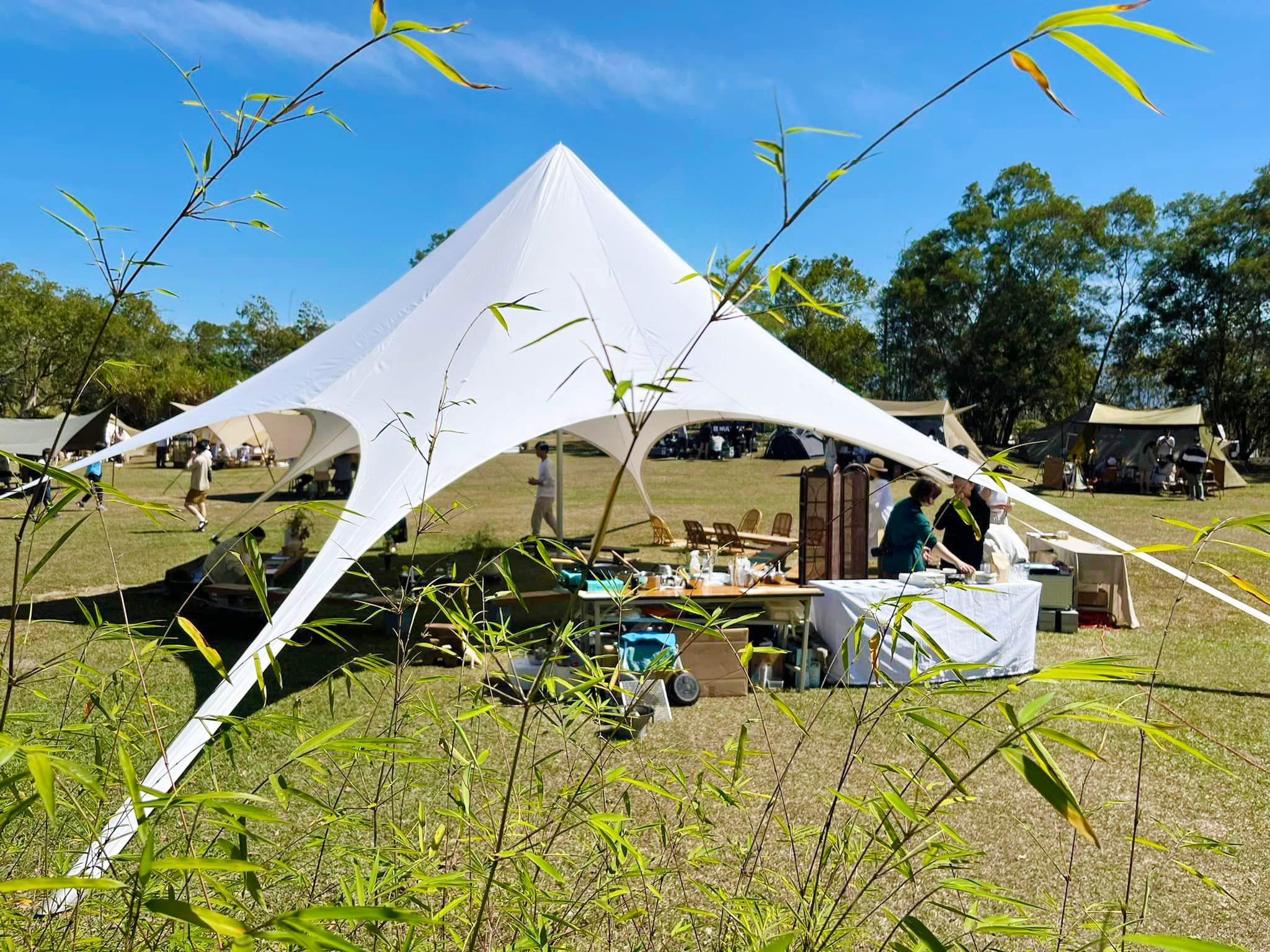 331349156_1317949778762309_7056415876212854034_n