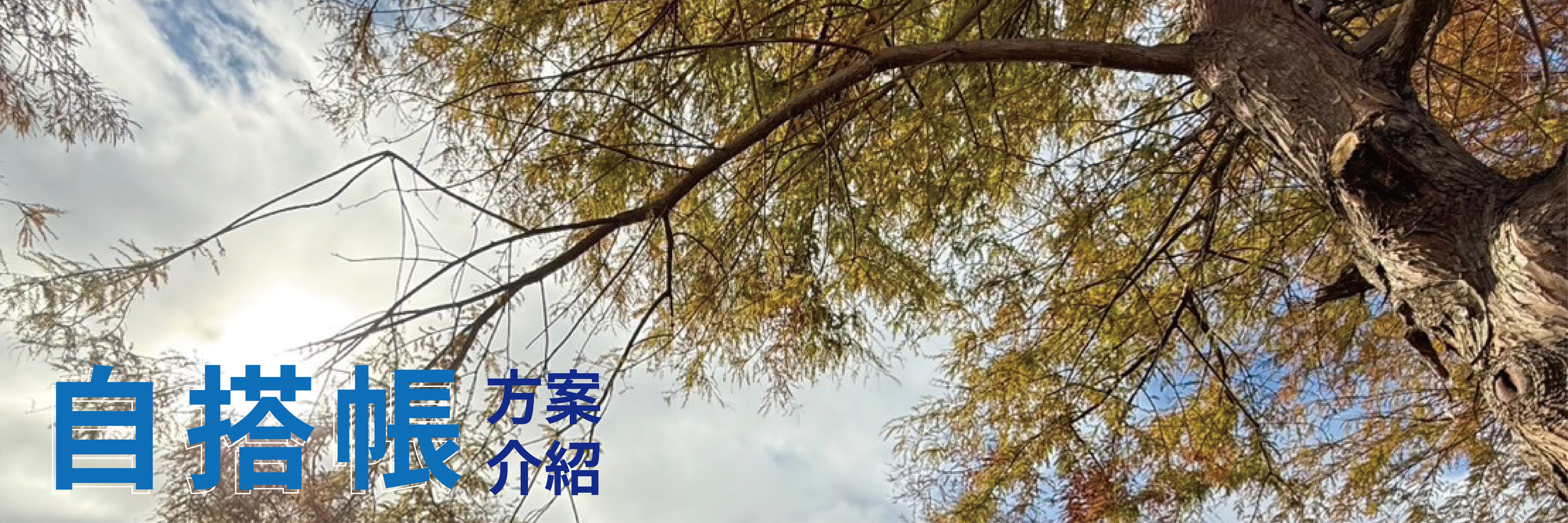 banner_工作區域 1 複本 2