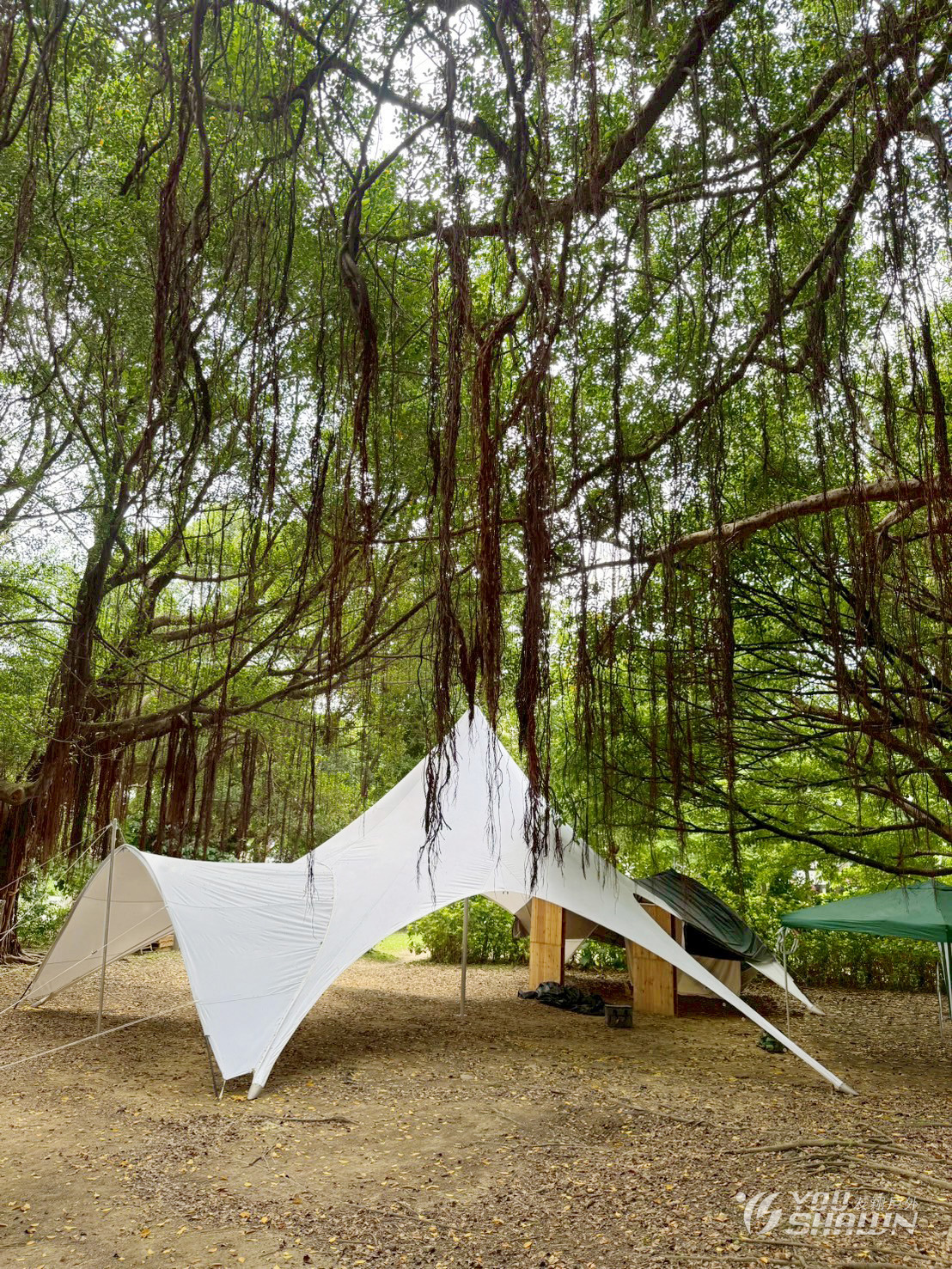 LINE_ALBUM_好事相連13001連結帳4✖️6天幕_250421_5