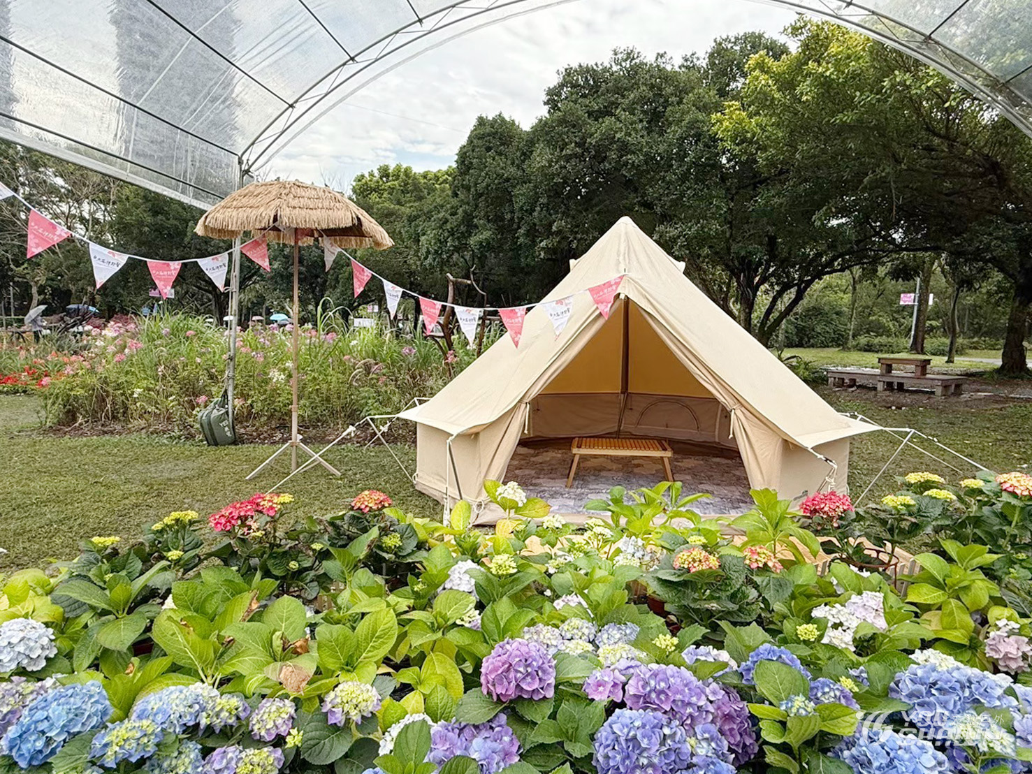 LINE_ALBUM_台北花伴野餐活動-大安森林公園_250429_11
