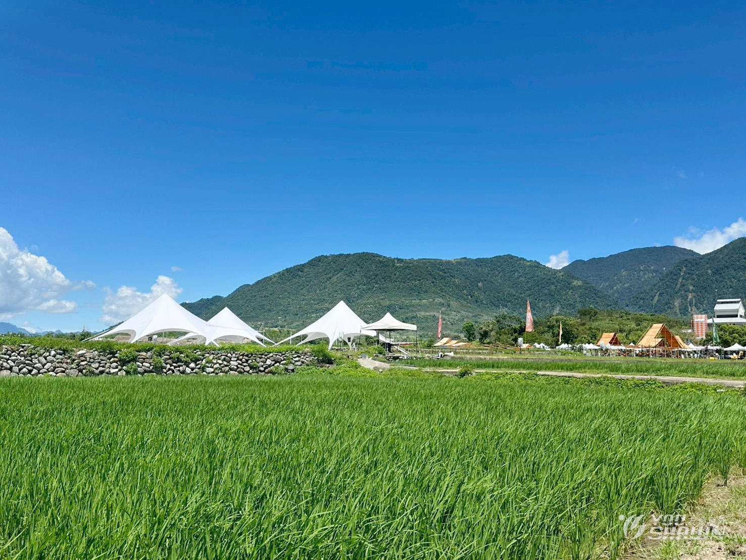 LINE_ALBUM_2015829花東縱谷園遊會_250829_46